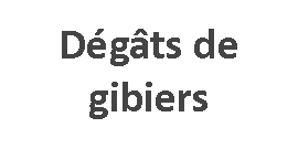 Bouton_gibier