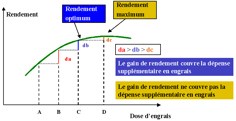 Loi_Mitscherlich