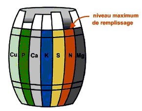 Loi_minimum